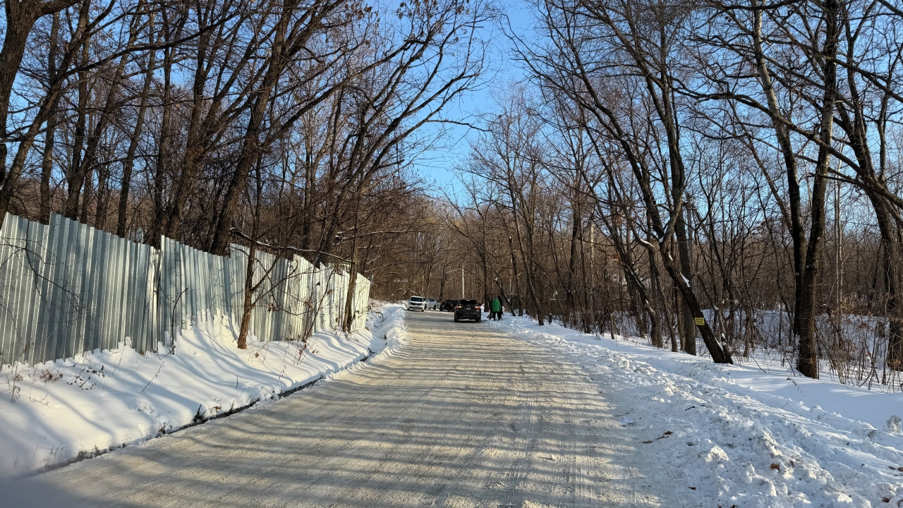 Дорога к зоосаду вновь превратилась в ледяную ловушку (ФОТО; ВИДЕО)