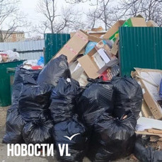 Прокуратура заинтересовалась ситуацией с вывозом мусора во Владивостоке