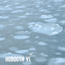 Сегодня во Владивостоке до -5 °C