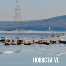 10 и 11 января во Владивостоке будет запрещено выходить на лёд