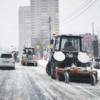 Снеговая Падь. Фото: «Содержания городских территорий» — newsvl.ru