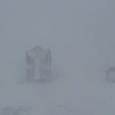 Трассу Седанка – Патрокл перекрыли из-за плохой видимости (ВИДЕО)