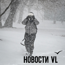 Техника застревает, люди толкают автобусы, большегрузам закрыли дорогу: метель во Владивостоке усилилась (ФОТО)