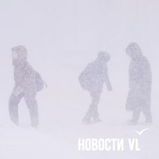 ДВФУ не объявлял дистанционку для студентов из-за метели, а шаттлы отменил