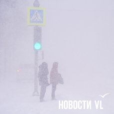 Во Владивостоке выпала месячная норма снега