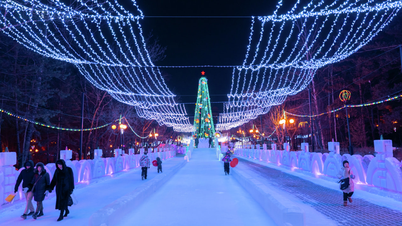 Дракон и медведь: новый проект благоустройства парка «Динамо» представили хабаровчанам (ФОТО)