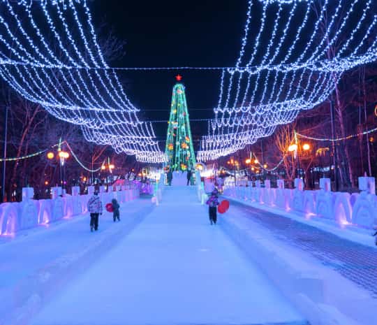 Дракон и медведь: новый проект благоустройства парка «Динамо» представили хабаровчанам (ФОТО)