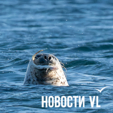 Сегодня во Владивостоке до -12 °C