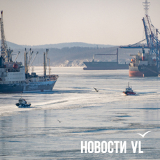 Сегодня во Владивостоке сильный ветер и до -14 °С