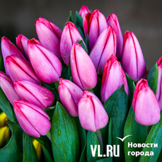 Первые предвестники весны должны появиться в Приморье во второй половине февраля