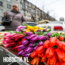 83 законных места предлагают во Владивостоке для торговли цветами в марте