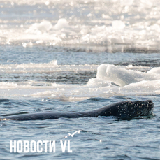 Сегодня во Владивостоке до -14 °С