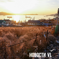 Бизнесу Владивостока раздали землю без торгов под импортозамещение – теперь прокуратура возвращает её через суды