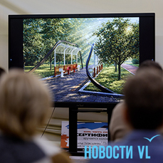 Кто-то хочет парковку, кто-то – газон и скамейки: жителям Владивостока представили концепцию аллеи на Ивановской (ФОТО; ВИДЕО)