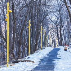 Верхнюю часть парка в Снеговой Пади уже почти доделали