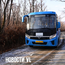 Автобусному маршруту по Русскому острову добавят остановок и введут пересадочный тариф