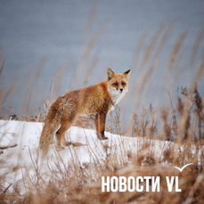 Сегодня во Владивостоке до -11 °C