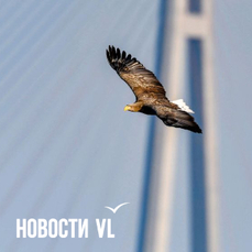 Сегодня во Владивостоке до -1 °С