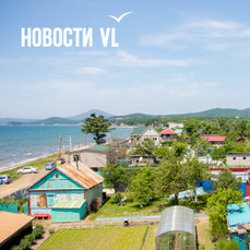 В Фокино вскрыли махинации при оформлении участка рядом с морем – чиновники администрации под подозрением