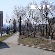 Аллею на Кирова начнут благоустраивать в апреле – на строительство выделено 33,55 млн рублей