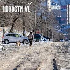 Пока без камер, но с освещением и новыми тротуарами – на первый этап благоустройства аллеи на Ивановской выделили 51,75 млн рублей