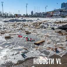 Еловые ветки и прочий мусор с центральной площади Владивостока обещают убрать в течение недели