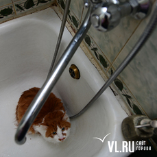 Большая часть Снеговой Пади завтра на весь день останется без холодной воды