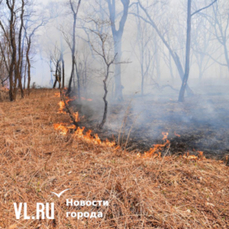 На границе с заповедником &laquo;Кедровая падь&raquo; потушили природный пожар