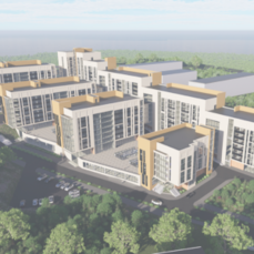 Интеграция в рельеф и озеленение: в ДВФУ показали, как может выглядеть вторая очередь кампуса