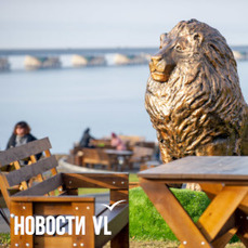 Николаевский &laquo;Роял Парк&raquo; во Владивостоке могут превратить в закрытый ведомственный санаторий для сотрудников таможни