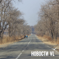 Минтранс Приморья через суд потребовал неустойку с подрядчика, ремонтировавшего дорогу возле Краскино в 2025 году