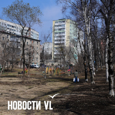 Аллею на Кирова будет благоустраивать компания из Владивостока с опытом ремонта зданий, ливнёвок и подпорных стен