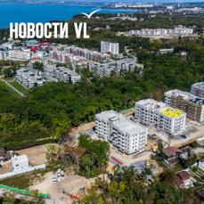 Три гектара леса на Садгороде хотят отдать под жилую застройку за 26 млн рублей