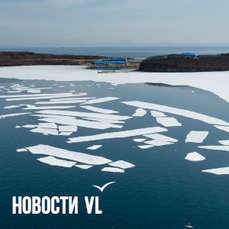 У берегов Владивостока из-за сильного северного ветра сегодня начнут отрываться льдины