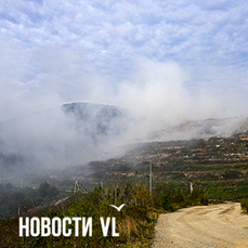 В ближайшие сутки в семи округах Приморья установится штиль, чреватый концентрацией загрязняющих веществ в воздухе