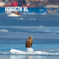 Сегодня во Владивостоке северный ветер и до -4 °С