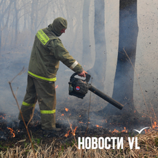 Девять пожаров потушили в Приморье за сутки