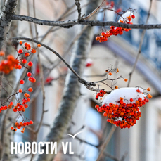 Какой была прошедшая зима, рассказали в Примгидромете