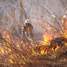 В Приморье прошли учения по тушению лесных и природных пожаров