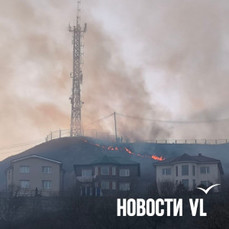 Во Владивостоке потушили природный пожар возле коттеджей на сопке Буссе