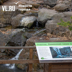 Приморцы встретили леопарда возле популярных у туристов Кравцовских водопадов (ВИДЕО)