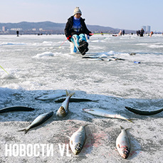 &laquo;Фестиваль селёдки&raquo; на Океанской и печаль хапужников на Де-Фризе: приморцы съезжаются к берегам Амурского залива за рыбой (ФОТО; ВИДЕО)