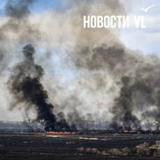 Пожары охватили более 200 гектаров в Приморье на выходных, ещё одно возгорание тушат под Партизанском