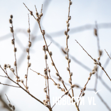 Сегодня во Владивостоке до +5 °С