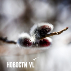 Сегодня во Владивостоке до +5 °С