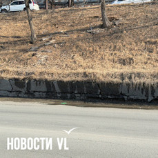 На сильные запахи нечистот на Калинина жалуются автомобилисты и пешеходы