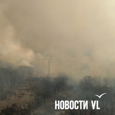 В Хасанском районе потушили пожар более 8000 гектаров