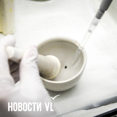 Что делать, если укусил клещ: как снять, куда нести и сколько стоит анализ