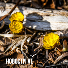 Сегодня во Владивостоке до +11 °C