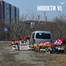 &laquo;Купил, продал  чистый доход&raquo;: нелегальные торговцы устроили рынок искусственных цветов вдоль дороги на Патрокле